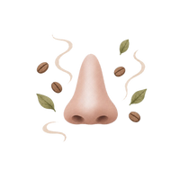 Aroma